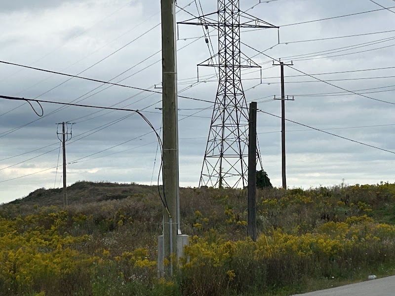 Williamsburg Wetland