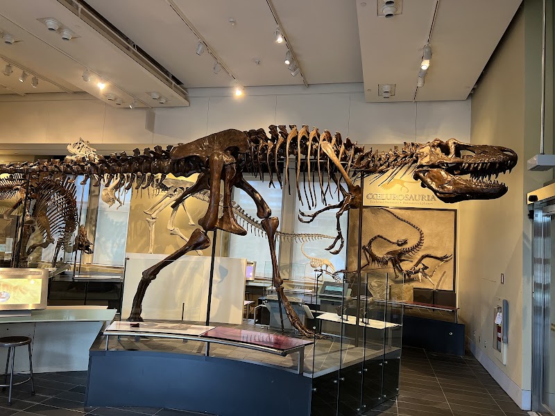 Canadian Museum of Nature / Musée canadien de la nature