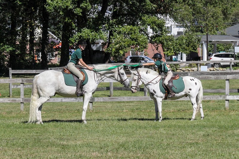 Whimsy Brook Farm Ltd