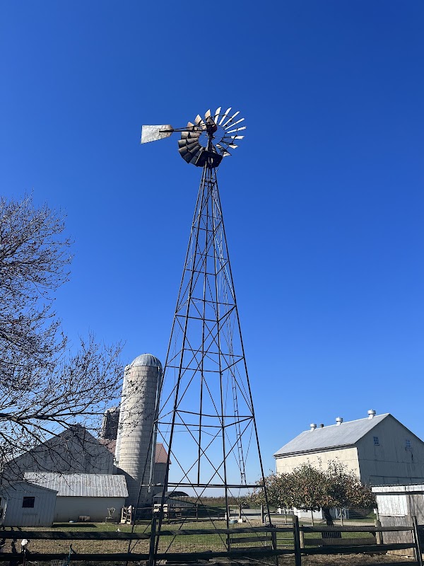 Old Windmill Farm