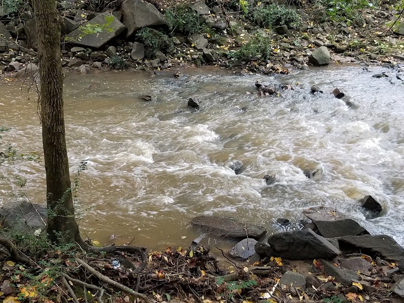 Briar Creek Greenway