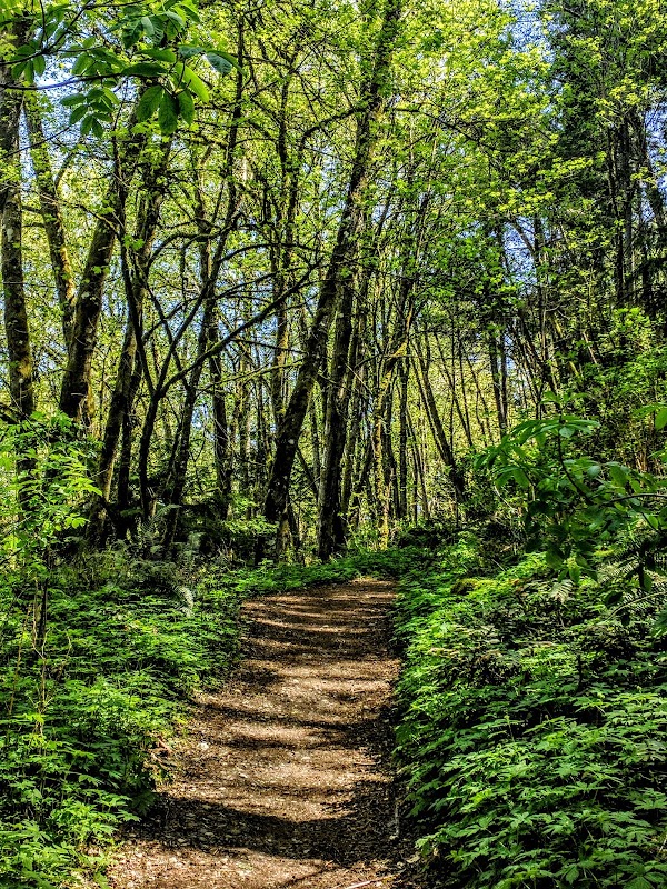 Chambers Creek Canyon