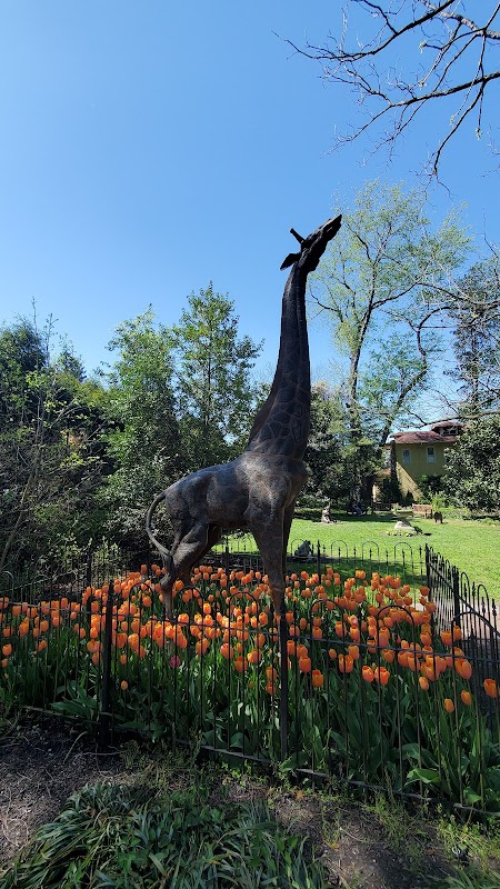 Children's Sculpture Zoo