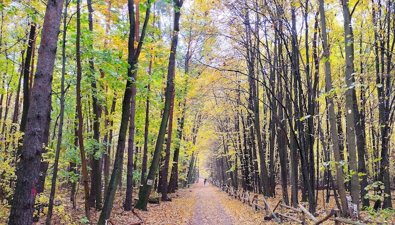 Rezerwat im. Króla Jana Sobieskiego