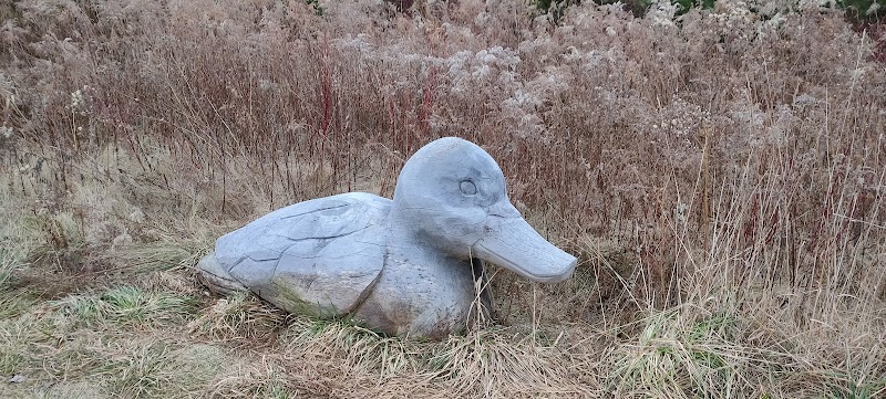 Lion rings trail parking