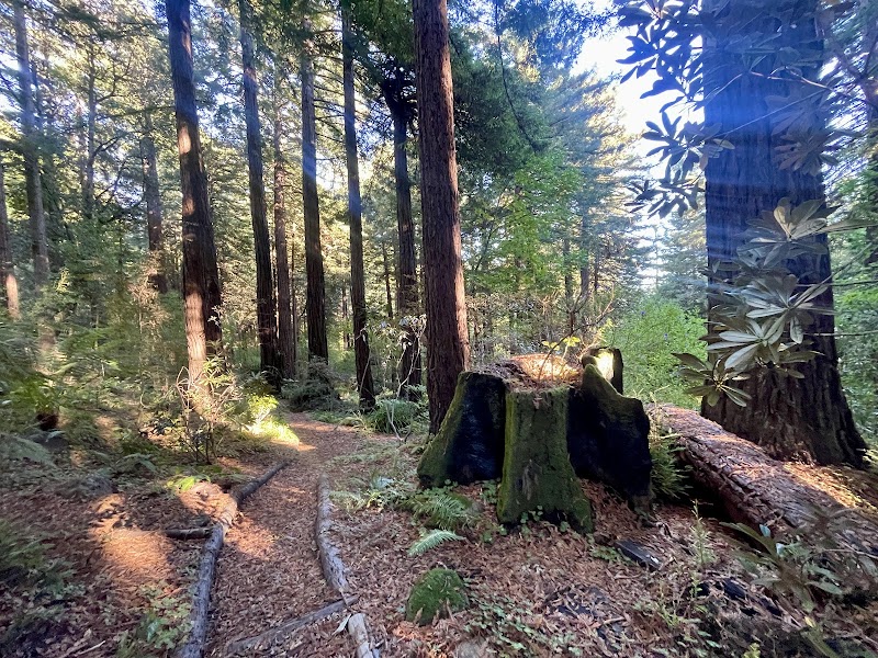 Joy Ridge Sanctuary