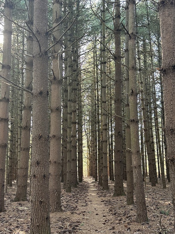 Dauner-Martin Nature Preserve Southern Entrance