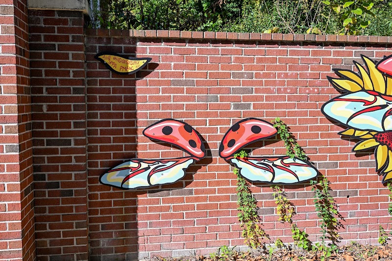 Ladybug Wings