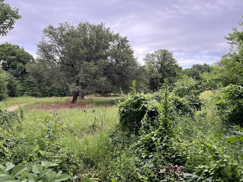 Coombs Creek Overlook