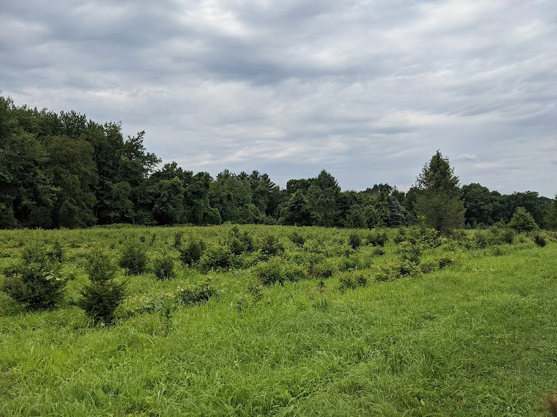 Smith Richardson Wildlife Preserve and Christmas Tree Farm