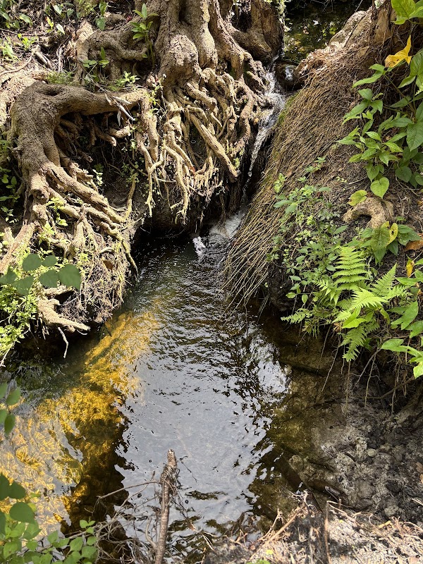 Secret Waterfall IRB