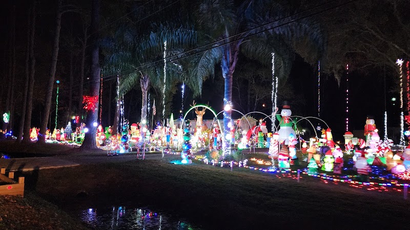 Pretty Christmas lights