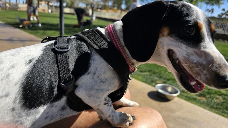 Private - Small Dog Park