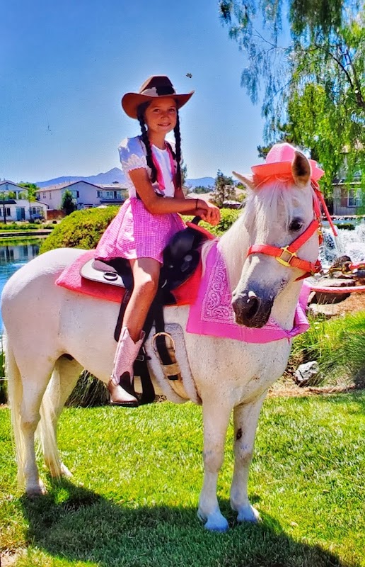 Barnyard Buddies Mobile Petting Zoo and Pony Ride Services