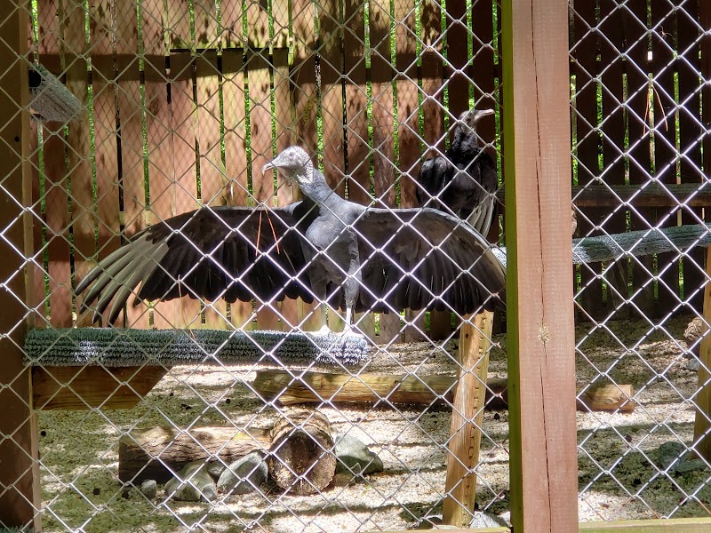 Carolina Raptor Center