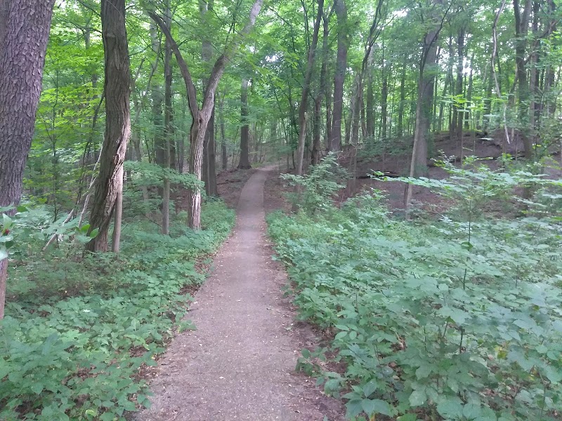 Cheney Street Lamberton Creek Tunnel
