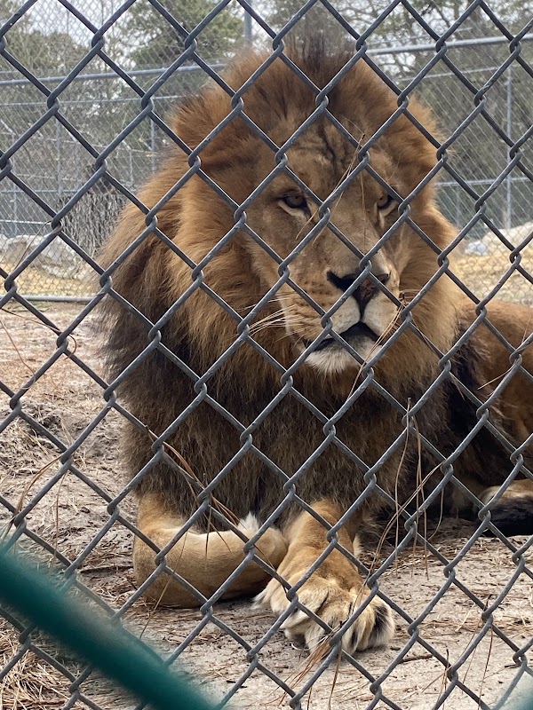 Popcorn Park Animal Refuge