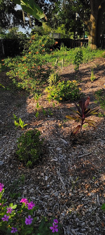Gregory Drive Butterfly Garden