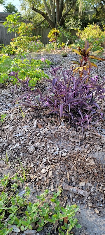 Gregory Drive Butterfly Garden