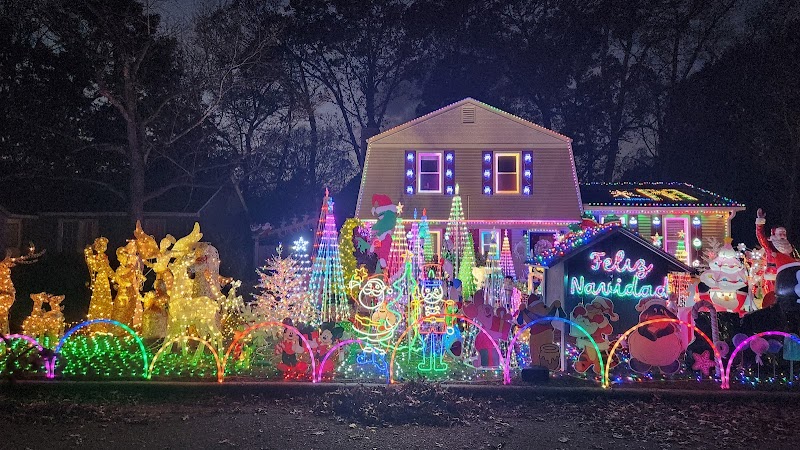 The Nelson's Christmas Light show