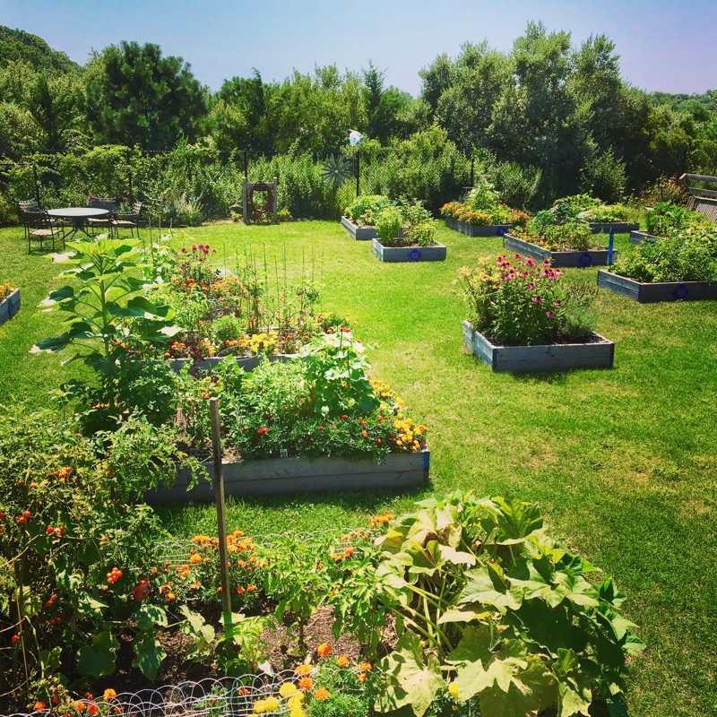 Eastport Roots Community Garden