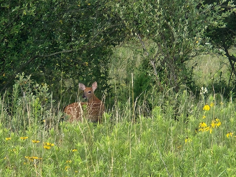 Matteson,IL Vollmer Road Grove