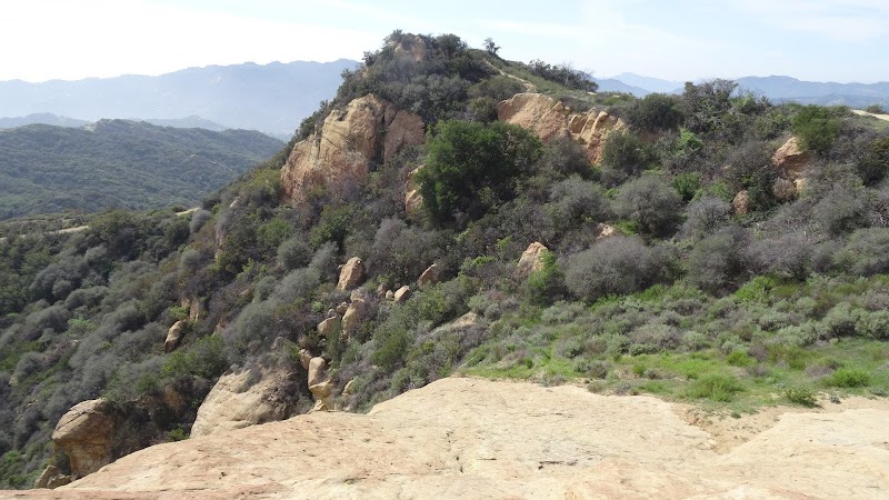 Topanga State Park