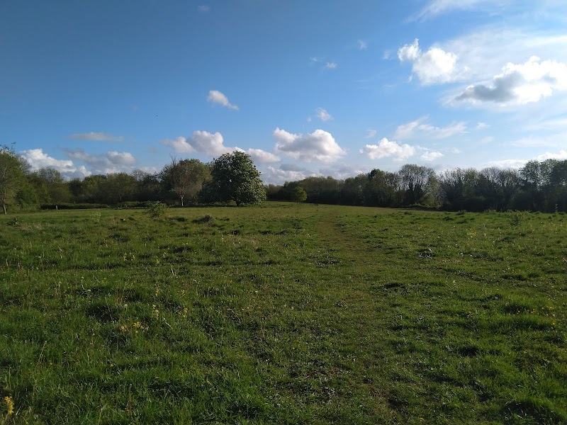 Bannerdown Common