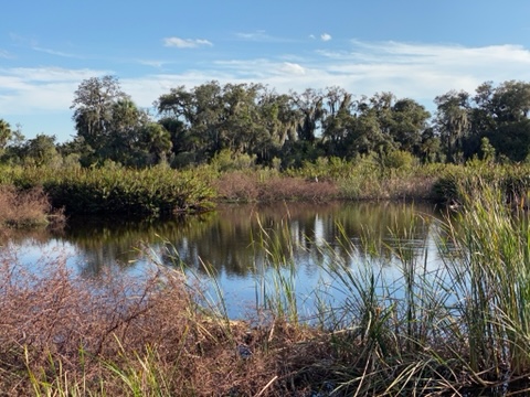Caloosahatchee Creeks Preserve West
