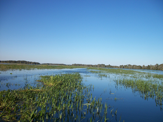 Experience Kissimmee, Florida