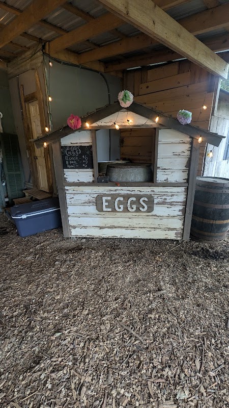 Indigo Iris Farm (Fresh Cut Flowers)