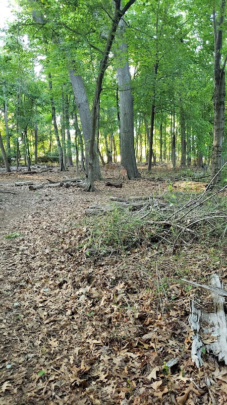 Harding Bird Sanctuary