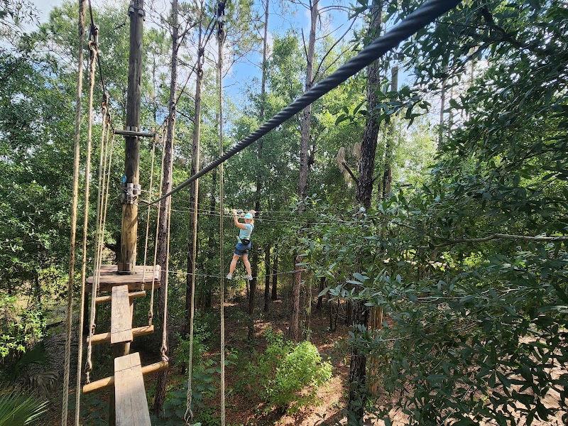 Orlando Tree Trek Adventure Park Zip Line