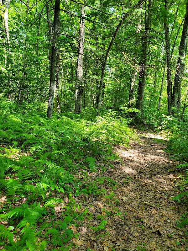 Lewis Farm Bird Sanctuary Parking