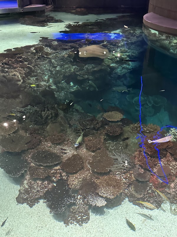 National Aquarium Harbor Wetland