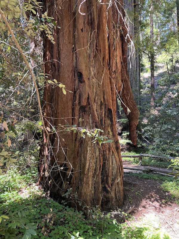 Pioneer Nature Trail