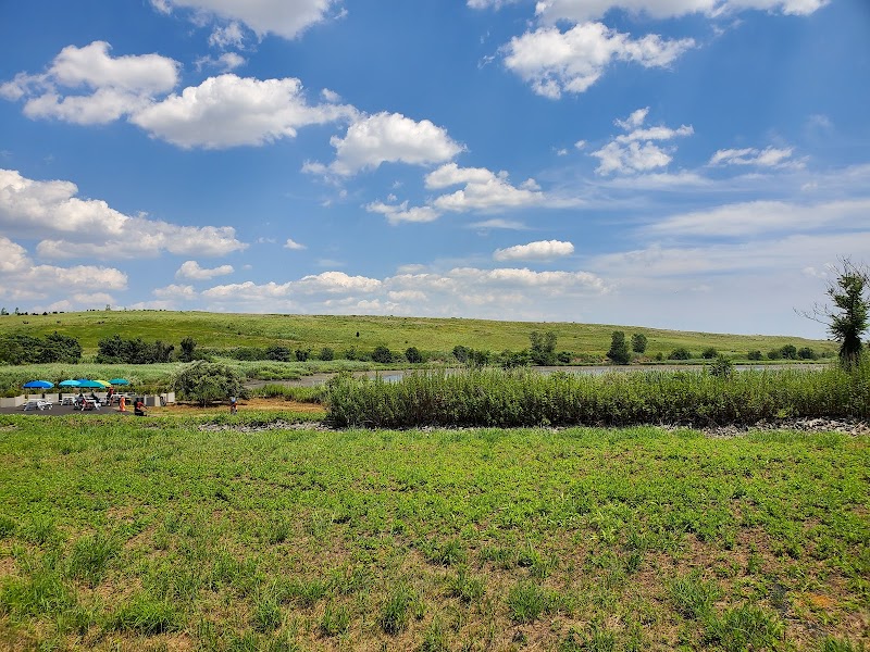 Starrett City Park
