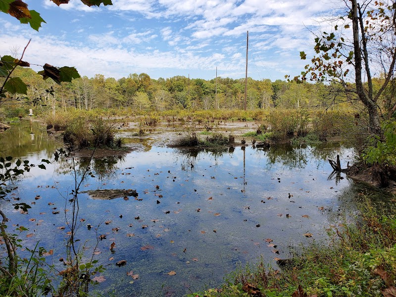 Cheltenham Wetlands Park - Parking