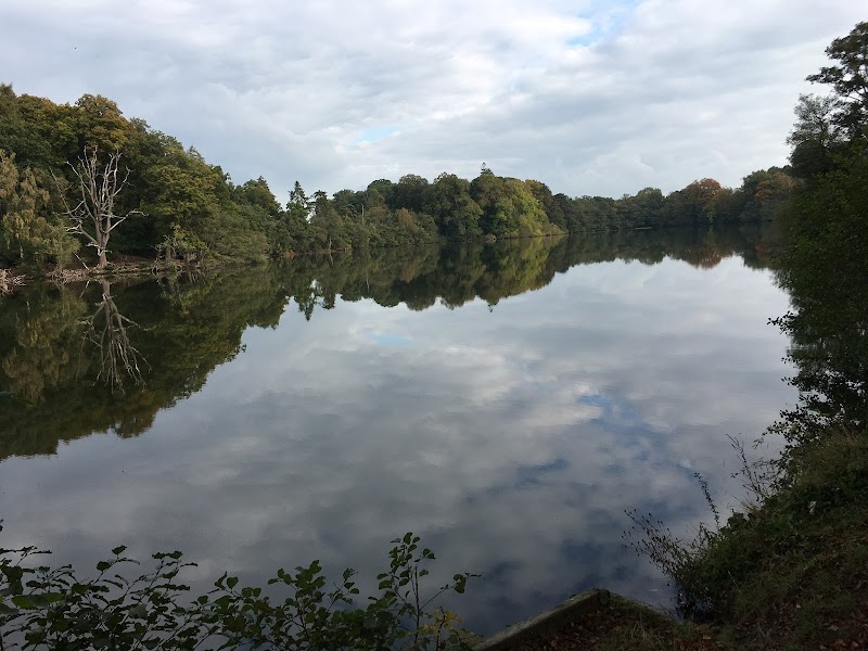 Ellesmere