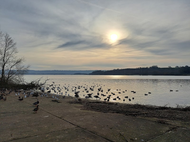 Chew Valley Lake Walk