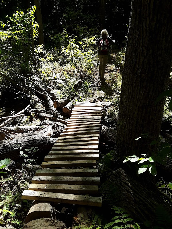 Michael Ciaiola Conservation “Fireman’s” Mountain Bike Trails