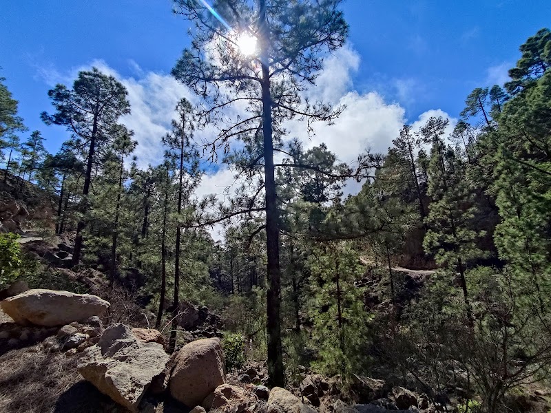 Barranco El Contador-Arico