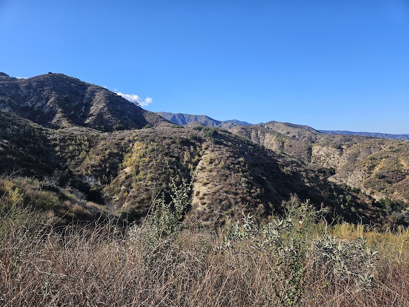 Indian Truck Trail Off Roading