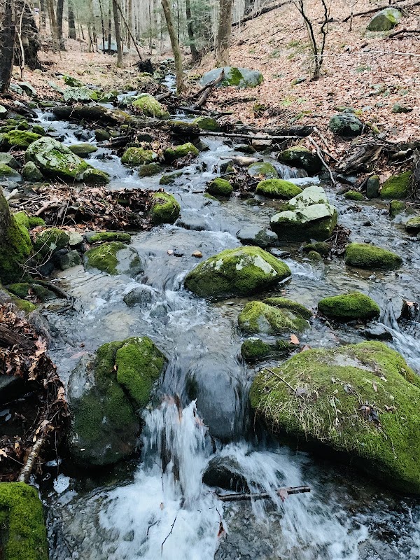Birch Rocks Sanctuary