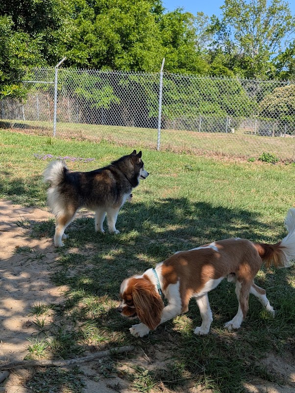 Lonnie G. Jones Dog Park
