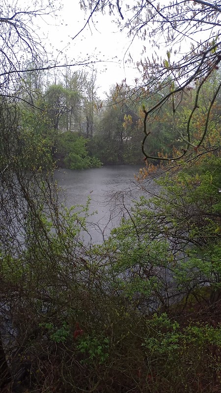 Charles Pond Scenic Area