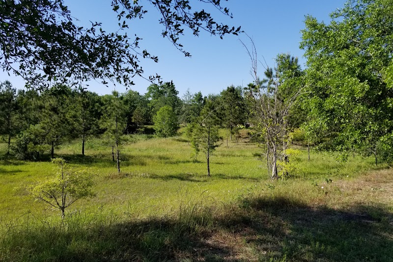 Hope Village Rd Walking Trail
