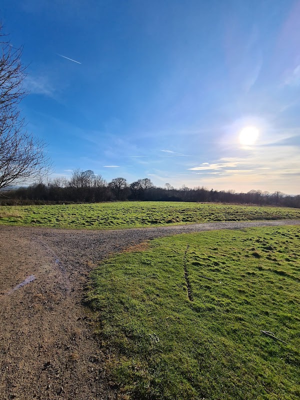 Folkes Lane Woodland - Thames Chase Woodlands