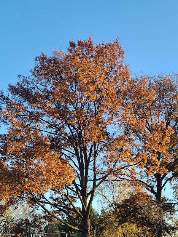 West Norriton Twp Recreation