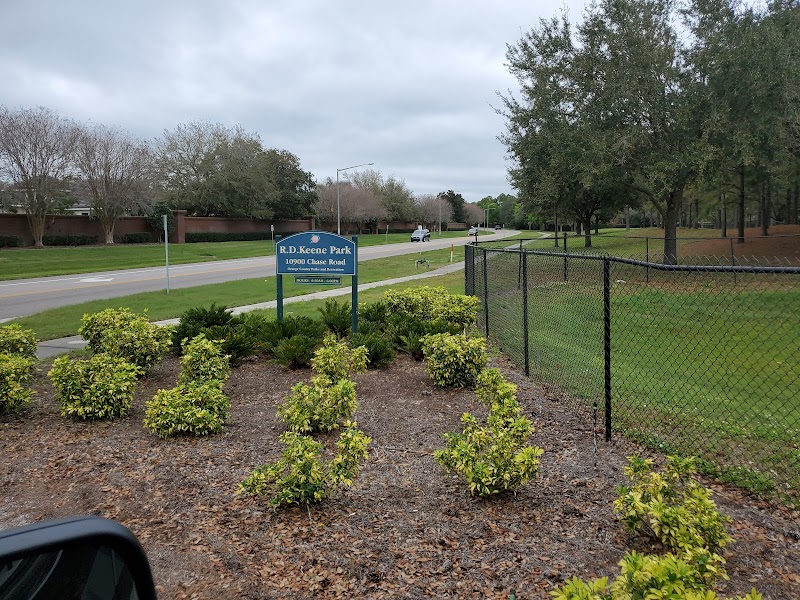 Keene's Point Play Area